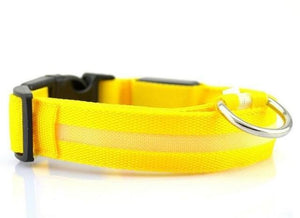 LED Pet Dog Collar Night Safety Flashing Glow